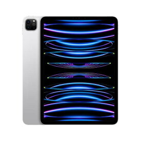 Apple 大人気 iPad Pro 11インチ 第4世代 Wi-Fi 128GB 3K873J/A [シルバー] 2022年秋モデル/展示美品/激安 /台数限定！