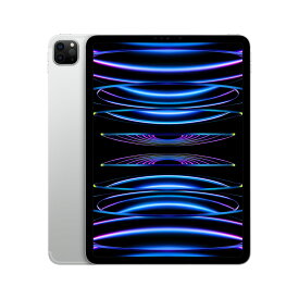 Apple 大人気 iPad Pro 11インチ 第4世代 Wi-Fi 128GB 3K873J/A [シルバー] 2022年秋モデル/展示美品/激安 /台数限定！