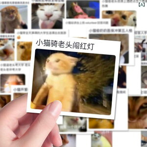 y؍XebJ[Zbgz킢  蒠X}zP[XɍœK ^Cv fRV[ ̎q v[gɂ