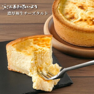 y 񂹃XC[c z Zɐ`[Y^g | XC[c Mtg  yY P[L َq 񂹃XC[c  mَq v[g `[YP[L `[Y^g yY Mtg 