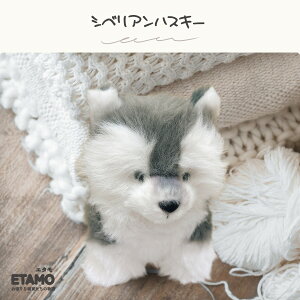  ʂ }XRbg gCv[h |jA rVt[[ VxAnXL[  ObY ӂӂ G ObY  Aj} G 킽  킢 fB[X 