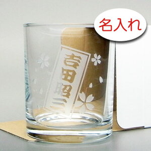 y OX  × bNOX(ECXL[OX) / IUbN / 1r / ȈՔzO v[g  Mtg O LO ECXL[ EXL[ lC IWi