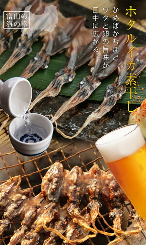 珍味!富山のつまみ★ホタルイカ素干し18尾入り