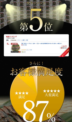 珍味!富山のつまみ★日本海産ホタルイカの素干18尾/ポッキリ送料無料1000円