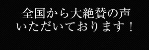 珍味!富山のつまみ★ホタルイカ素干し◆