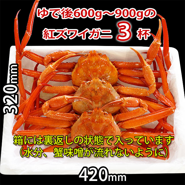 ギフ_包装 富山県産 紅ズワイガニ 3匹 冷凍ボイル 特大サイズ 数量限定