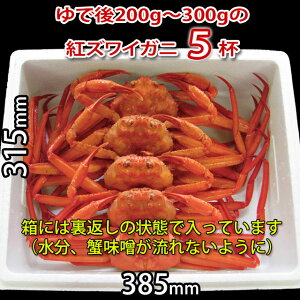 【送料無料】朝獲れ新鮮ボイル紅ズワイガニ5杯【お歳暮ギフト】【お届け日指定不可】【産地直送】【ズワイガニ富山ギフト】【開店セール1212】【RCP】