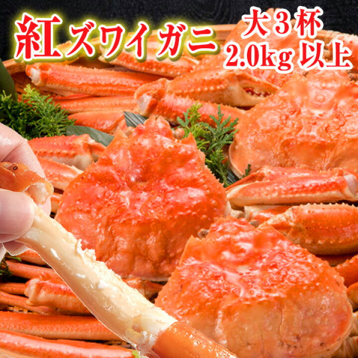 楽天市場 送料無料 未冷凍 富山 紅ズワイガニ 大3杯 ゆで後600g 900g 杯 朝獲れ新鮮 ボイル 姿蟹 滑川産地より直送茹で蟹 蟹 かに カニ 紅ズワイ ベニズワイ 富山の紅ずわいがに お歳暮 越中氷見屋