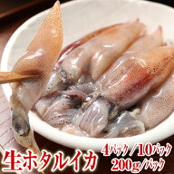 【送料無料】 ホタルイカ 生 /800g/2000g 2026年 新物 富山湾・滑川産 (1パック200g) 生食 急速冷凍 お酒…