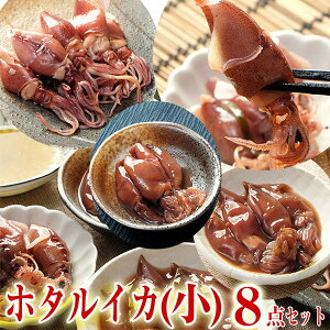 yz z^CJ Ђ 24i g 24ĩZbg  xR̉Ђ xR̂ق邢 Mtg xR yY Ε  ̓ ̓ hV̓ aj
