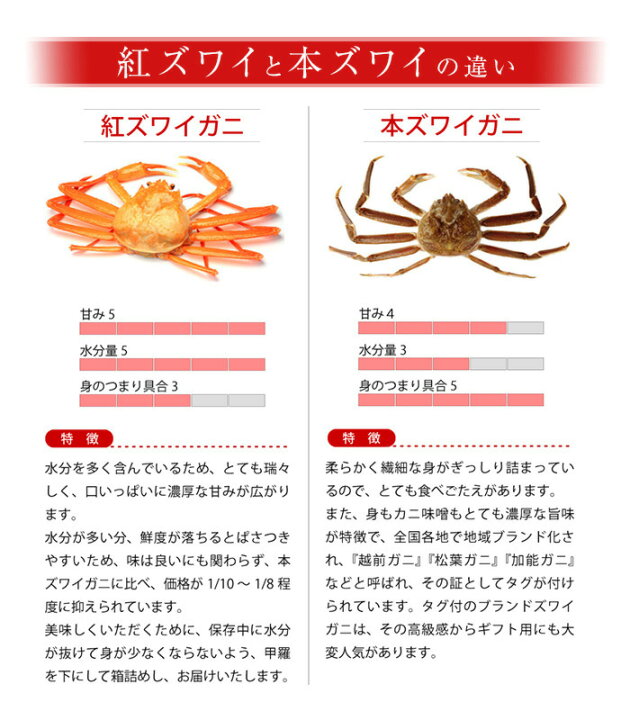 楽天市場 送料無料 未冷凍 富山 紅ズワイガニ 訳有5杯 ゆで後0g 300g 杯 朝獲れ新鮮 ボイル 姿蟹 滑川産地より直送ベニズワイガニ 茹で蟹 蟹 かに カニ 紅ズワイ ベニズワイ 富山の紅ずわいがに お歳暮 越中氷見屋