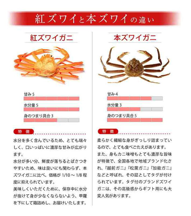 楽天市場 送料無料 未冷凍 富山 紅ズワイガニ 大4杯 ゆで後600g 900g 杯 朝獲れ新鮮 ボイル 姿蟹 滑川産地より直送茹で蟹 蟹 かに カニ 紅ズワイ ベニズワイ 富山の紅ずわいがに お歳暮 越中氷見屋