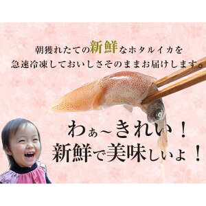 楽天市場 富山湾 滑川産 ホタルイカ 生 生食用 21年新物 0g 急速冷凍 ほたるいか 越中氷見屋