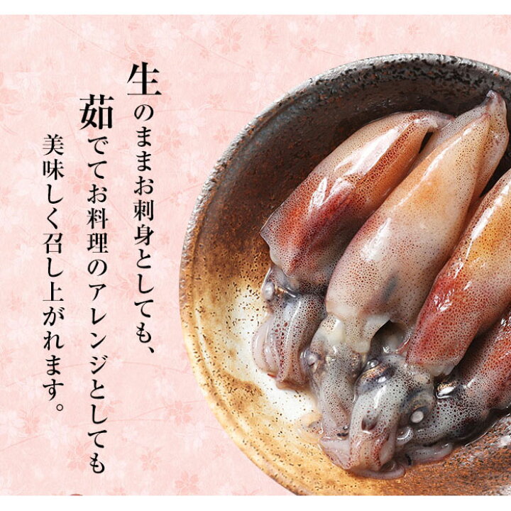 楽天市場 送料無料 富山湾 滑川産 ホタルイカ 生 生食用 22年新物 800g 0g 4パック 急速冷凍 ほたるいか 越中氷見屋