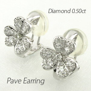 yP10{ 11/20 20:00`z_C CO sAX _Ch fB[X pF t[  v`i pt900 0.5Jbg I[^Z[