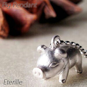 _Ch lbNX y_g fB[X  Ԃ sbO Aj} n v`i pt900 ubNtCf[