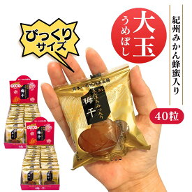 【楽天ランキング3冠達成】紀州南高梅 みかん蜂蜜入り 梅干し 大玉 ビックリサイズ 塩分5％ 大粒 個包装梅美膳 マルチョウフーズ (20粒入) 2箱セット