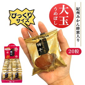 紀州南高梅 みかん蜂蜜入り 梅干し 大玉 ビックリサイズ 塩分5％ 大粒 個包装梅美膳 マルチョウフーズ (20粒入)