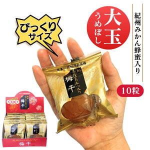 IB썂~ ݂I ~  rbNTCY 5 嗱 ~V }`Et[Y (10)