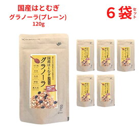 国産はとむぎグラノーラ プレーン 砂糖・添加物不使用 無添加 120g 小川生薬 【6袋セット】 クラフトパッケージ