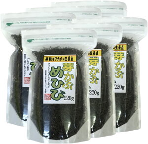 RN ߂Ђ ߂ א  220g y6܃Zbgẑ