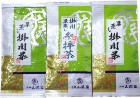日本茶 お茶 茶葉 【参拝茶100g×1袋】+【掛川深蒸し茶100g×2袋】セット 巣鴨のお茶屋さん 山年園