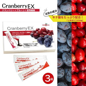 Nx[EX 15g×30{ \tg[[^Cv | I Y Li_856mg ZkNx[ AR H@ۖLx gCY SsΉ HiYsgp { XeBbN[[ 