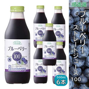 u[x[100 u[x[W[X ʏ`100Xg[g W[X 500ml I