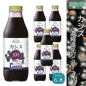 JVX 100 JVXW[X ZkҌW[X 500ml I