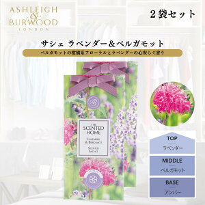 y}\ԃ|Cg5{z ASHLEIGH&BURWOOD AVCAho[Ebh TVF  (x_[xKbg 2Zbg)