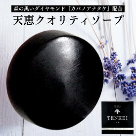 【在庫あり】天恵クオリティソープ 80g 【楽天ランキング10冠達成】プラスケア 公式 無添加 天恵石鹸 チャーガ配合 100%植物由来 固形洗顔せっけん 保湿洗顔 自然素材 グリセリン 天然保湿成分 スキンケア フェイスケア 天然素材 ベビーソープ カバノアナタケエキス 黒石鹸