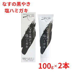 なすの黒焼き 歯磨き なすの黒やき塩ハミガキ 口臭予防 歯茎のひきしめ 天日塩 炭 ナチュラル 歯垢除去 合成界面活性剤不使用 防腐剤不使用 自然派歯磨き 歯のやに取り いんやん倶楽部 100g 2個セット