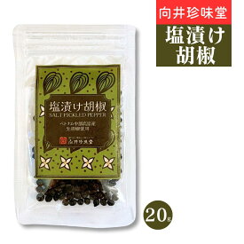 塩漬け胡椒 20g 向井珍味堂 ベトナム産 ペッパー 塩漬け 生こしょう 爽やかな香りと辛み 肉料理 魚料理 何でもよく合う 料理にちょい足しでランクアップ ブラックペッパー ホールペッパー 天然塩使用