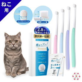 猫 歯ブラシ 【奥までスッ！と届く x 改良2.8mm 極薄ヘッド 】 歯磨き 猫用歯ブラシ ふんわりやわらか 0.06mm 超極細毛で痛くない ネコ ねこ Premium