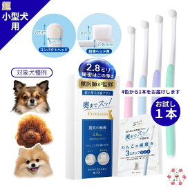 超小型犬用 犬 歯ブラシ 【奥までスッ！と届く x 独自改良 2.8mm 極薄 ヘッド】プレミアム ふんわりやわらか0.06mm 超極細毛 痛くない S字カーブ 歯磨き 犬用歯ブラシ ペットお手入れ デンタルケア
