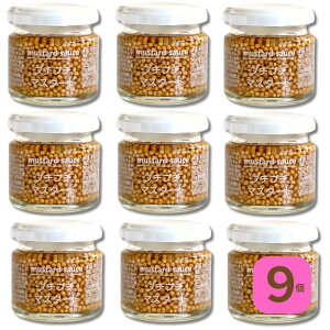 }X^[h v`v`}X^[h t@ChEj[Y 60g v`v`Hy}X^[h 񂲐|IȂǂA}Chłق̂Ƃa̖킢 YEۑsgp