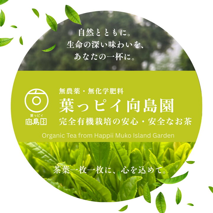 楽天市場】葉っピイ向島園 有機 熟成三年番茶 200g 三年番茶 幼児成人 