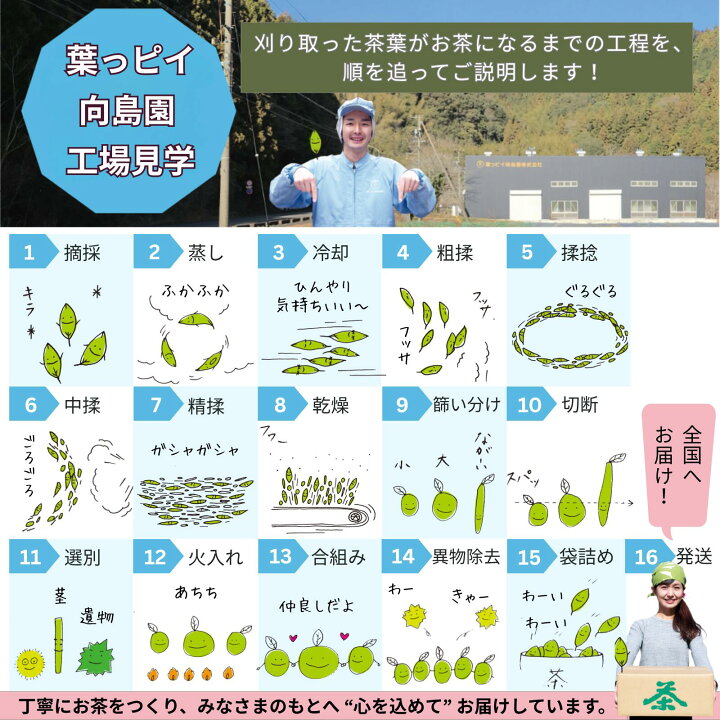 楽天市場】葉っピイ向島園 有機 熟成三年番茶 200g 三年番茶 幼児成人 