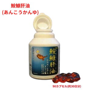 ߊ̖ (񂱂) ͉̂h{̕ DHAEEPÅܗLʂ͑̓A̒ŐEI