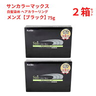 白髪染め サンカラーマックス男性用 75g ブラック ヘアカラー 2本セット