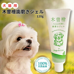 ؑ]wWF ybgp 120g Premium vXPA ؑ]w 80zyKiz ELp
