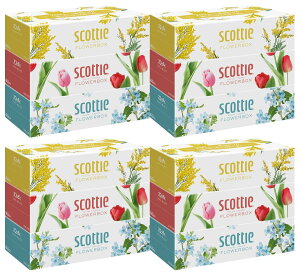 NVA XRbeB eBV[ t[{bNX 250g 3pbN eBbV pi