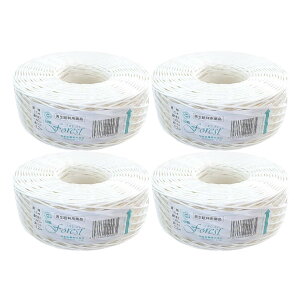 Ђ 20 tHXg 100m  R bsO Hp