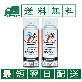 【2本セット】丸山製作所 maruyama キッチン消火スプレー エアゾール式簡易消火具