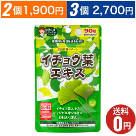 【イチョウ葉エキス】おまとめ割引2袋・3袋セットあります！1袋あたり90粒30日分/ジャパンギャルズ/生活習慣サポート/DHA＆EPA/ビタミンE/中高年/シニア/老人