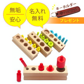【18日10名限定20%OFF！】 【厚労省認定】【モンテッソーリ】円柱差し 知育玩具 おもちゃ 玩具 木製 天然ブナの木 パズル オモチャ 幼児 教育 1歳 2歳 3歳 子供 孫 誕生 選べるカラーバリエーション「つまんでぽん」