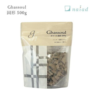 �K�X�[�� �Ō` 500g �i�C�A�[�h naiad �N���C �w�A�p�b�N �����b�R �D�p�b�N