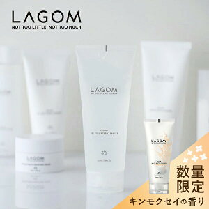 LAGOMiSj WFgDEH[^[NU[ 220ml ʏ @[xi WF    WF  ێ  ؍RX ؍  }cGN