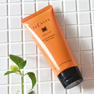 JX^ LaCASTA A}GXe veNgyA wAN[ 105g g[gg EJX^ Ay[[ h