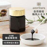 アムリターラ amritara 自然栽培 梅肉エキス 50g 美容 無添加 自然栽培 鶯宿梅 梅エキス 梅食品 健康 伝…